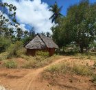 Escursioni avventura e attività