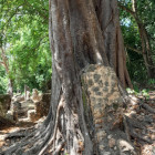 Escursioni culturali e cittadine