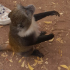 WhatsApp Image 2025-06-02 at 19.10.42