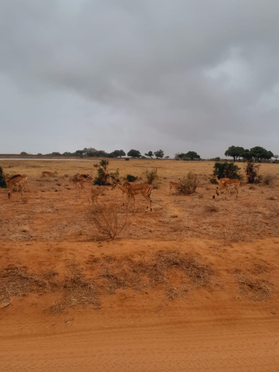 WhatsApp Image 2025-05-24 at 01.10.15