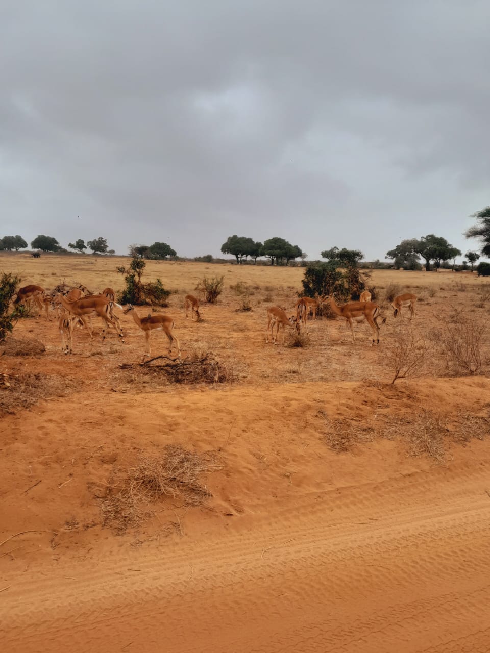 WhatsApp Image 2025-05-14 at 22.07.50