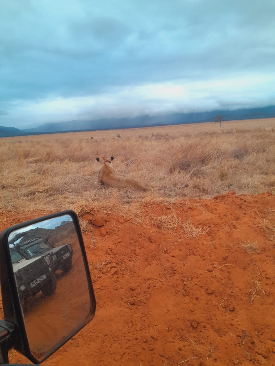 WhatsApp Image 2025-05-14 at 22.07.34