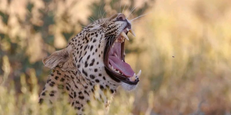 WhatsApp Image 2025-05-24 at 23.06.30