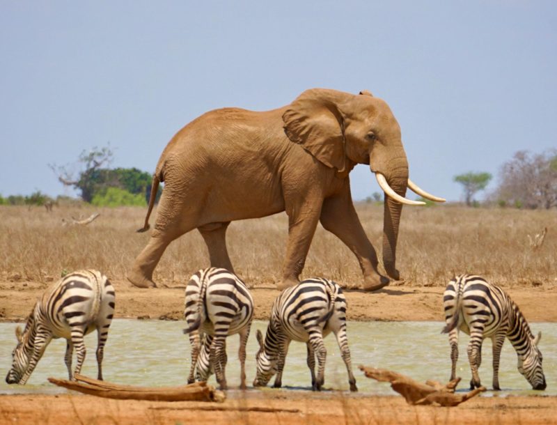 WhatsApp Image 2025-05-15 at 08.50.40