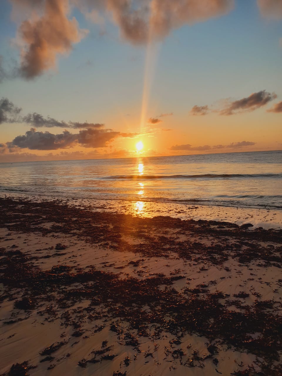 WhatsApp Image 2025-05-24 at 01.10.52