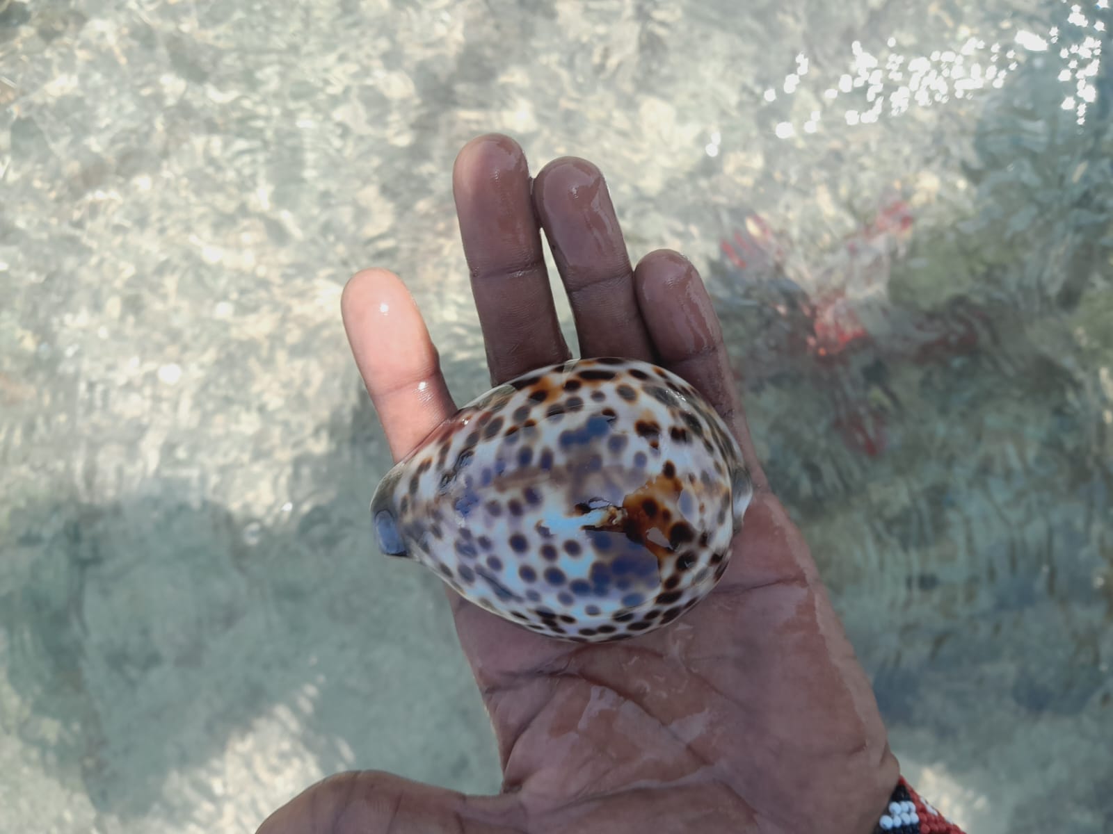 WhatsApp Image 2025-05-19 at 23.46.35 (1)