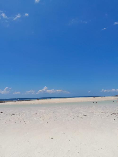 isola-dell-amore-1-2-giornata